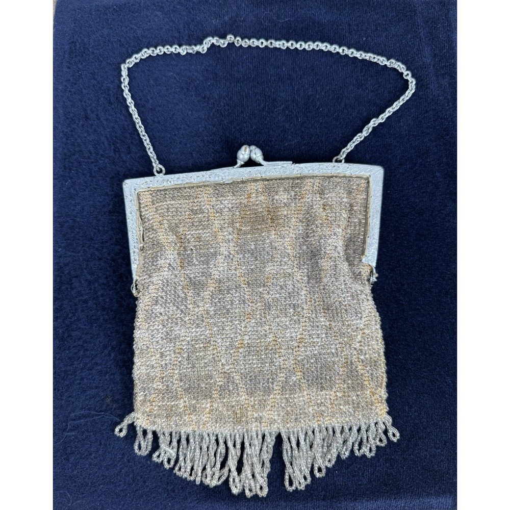 Antique French Micro Beaded Evening Purse Bag With Looped Fringe